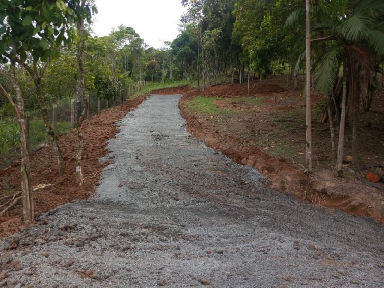 Abertura de Acessos e Estradas