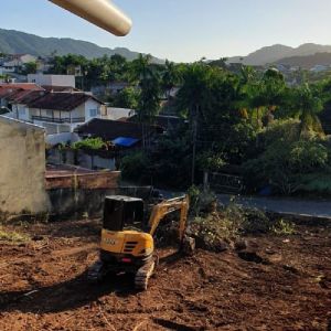 Retirada de Tocos e Raízes